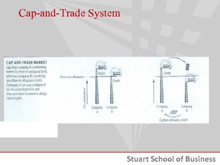 Cap-and-Trade System Stuart School of Business 