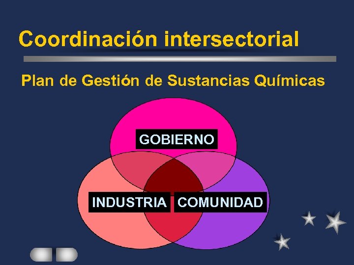 Coordinación intersectorial Plan de Gestión de Sustancias Químicas GOBIERNO INDUSTRIA COMUNIDAD 