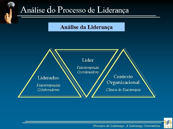 Análise do Processo de Liderança Análise da Liderança Líder Fisioterapeuta Coordenadora Liderados Fisioterapeutas Colaboradores