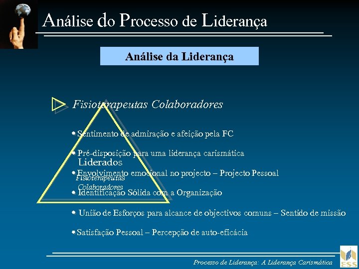 Análise do Processo de Liderança Análise da Liderança Fisioterapeutas Colaboradores Sentimento de admiração e