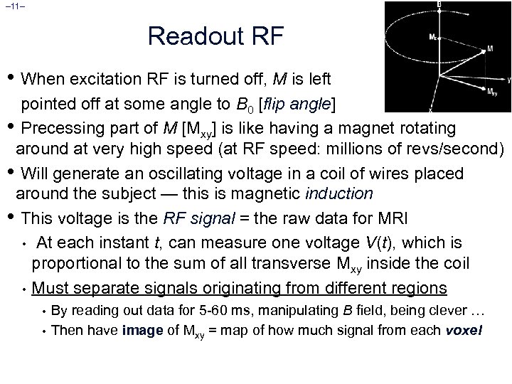 – 11– Readout RF • When excitation RF is turned off, M is left