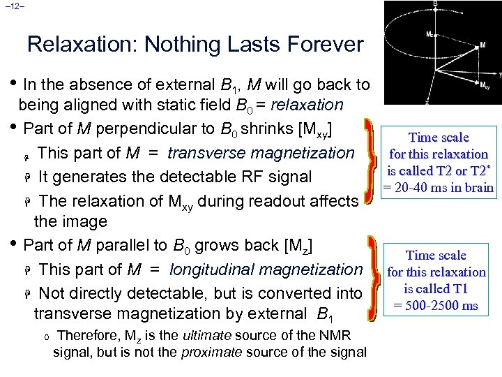 – 12– Relaxation: Nothing Lasts Forever • In the absence of external B 1,