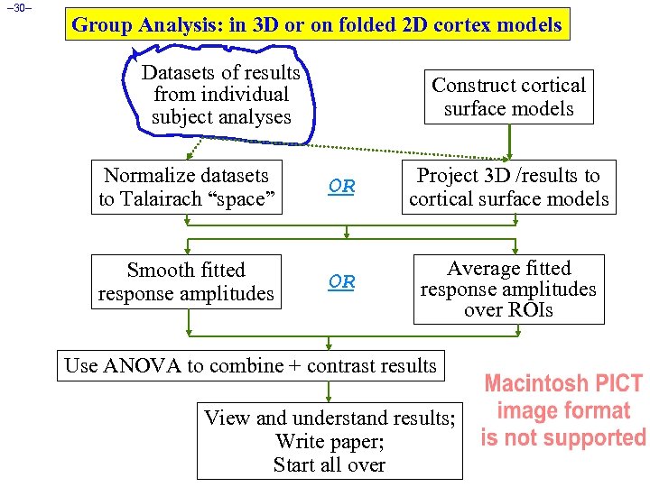 – 30– Group Analysis: in 3 D or on folded 2 D cortex models