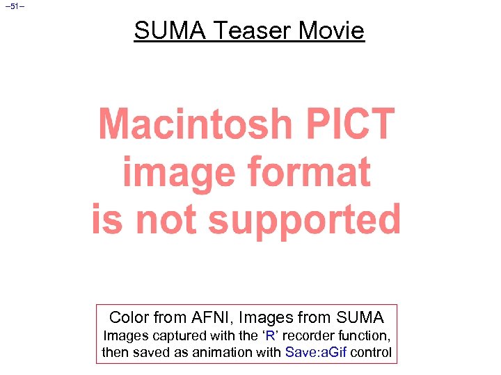– 51– SUMA Teaser Movie Color from AFNI, Images from SUMA Images captured with