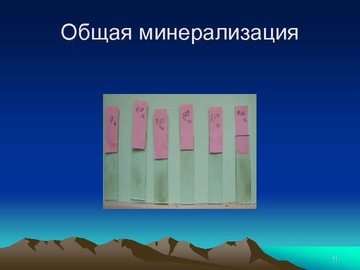 Общая минерализация 11 