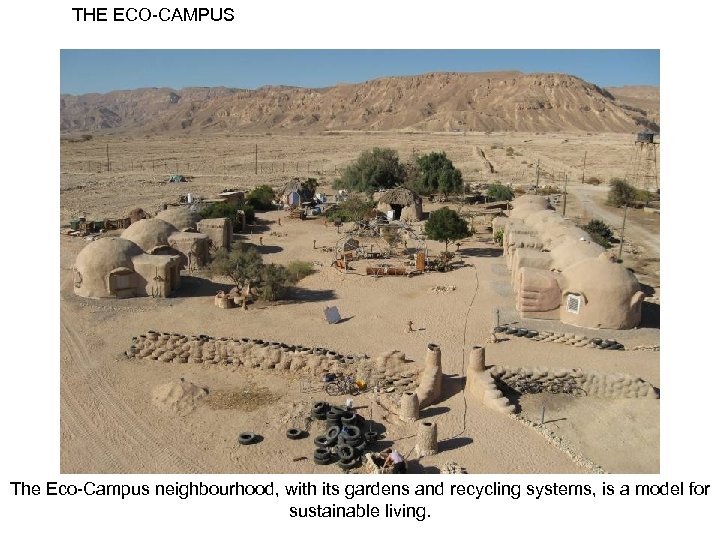 THE ECO-CAMPUS The Eco-Campus neighbourhood, with its gardens and recycling systems, is a model