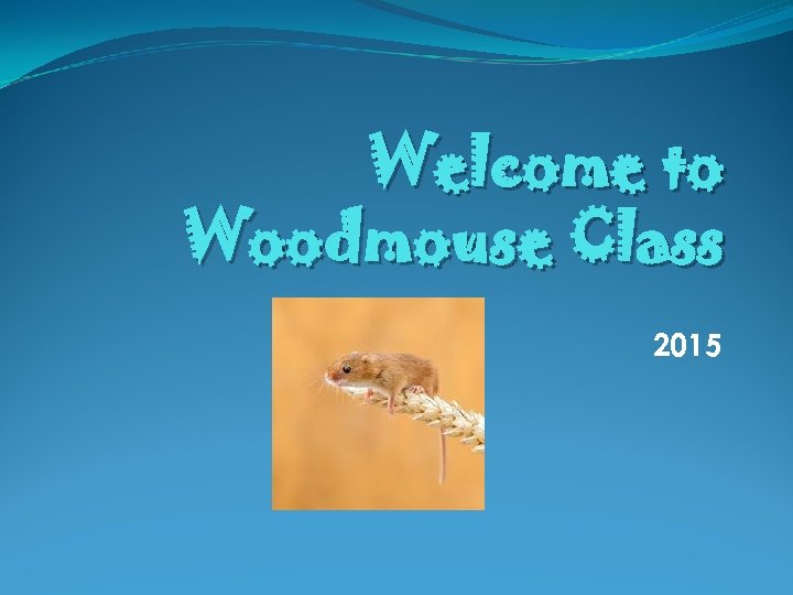 Welcome to Woodmouse Class 2015 