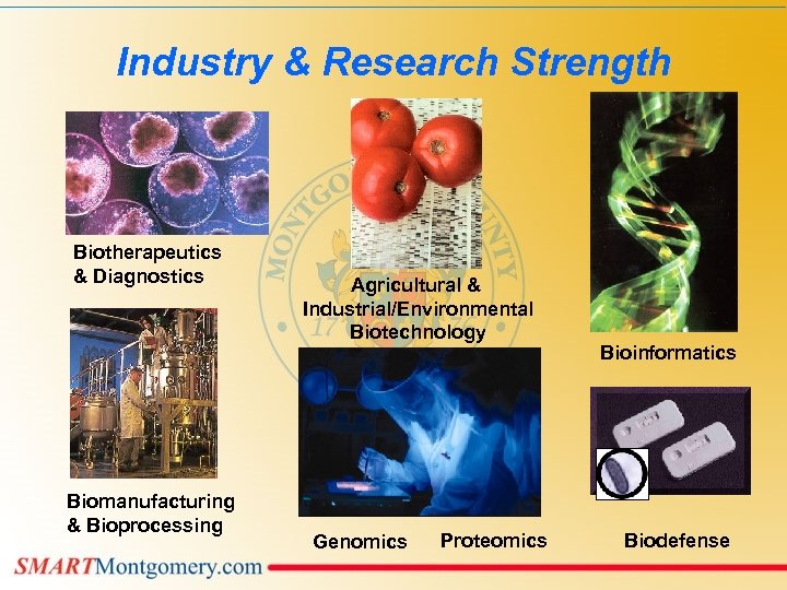 Industry & Research Strength Biotherapeutics & Diagnostics Biomanufacturing & Bioprocessing Agricultural & Industrial/Environmental Biotechnology