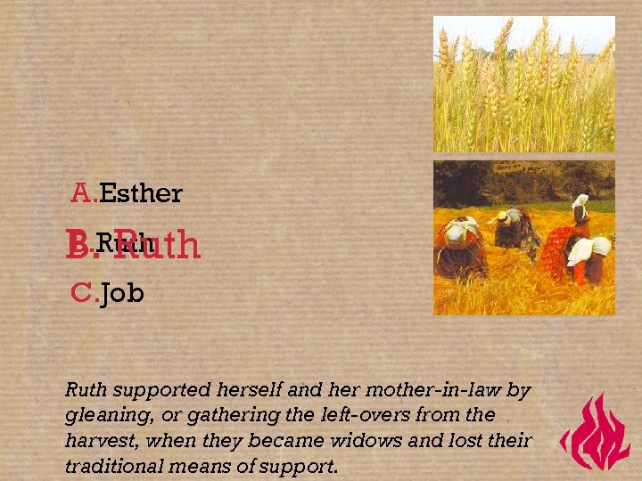 A. Esther B. Ruth C. Job Ruth supported herself and her mother-in-law by gleaning,