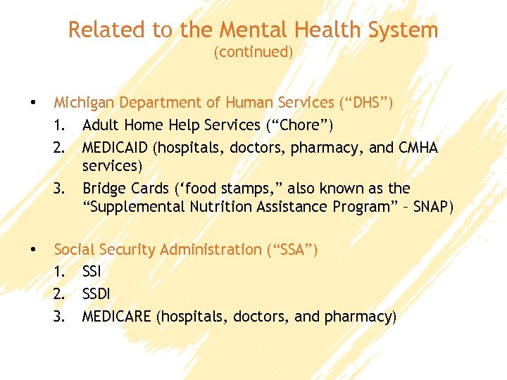 Related to the Mental Health System (continued) • Michigan Department of Human Services (“DHS”)