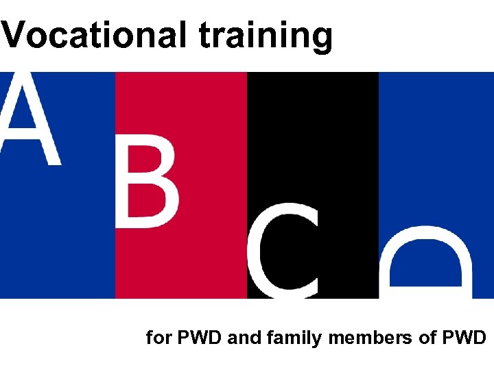 Vocational training for PWD and family members of PWD 