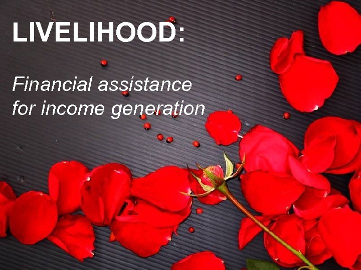LIVELIHOOD: Financial assistance for income generation 
