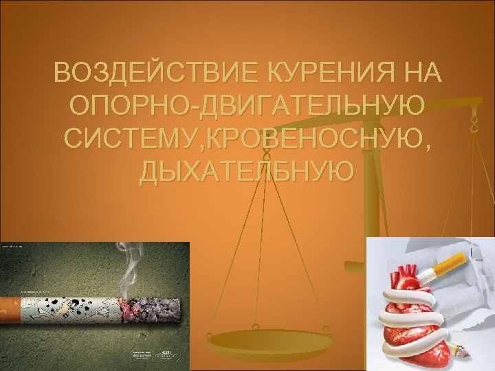 ВОЗДЕЙСТВИЕ КУРЕНИЯ НА ОПОРНО-ДВИГАТЕЛЬНУЮ СИСТЕМУ, КРОВЕНОСНУЮ, ДЫХАТЕЛБНУЮ 
