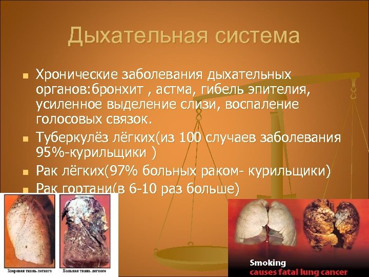 Дыхательная система n n Хронические заболевания дыхательных органов: бронхит , астма, гибель эпителия, усиленное