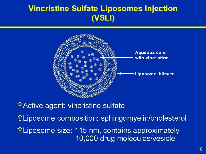 Vincristine Sulfate Liposomes Injection (VSLI) Aqueous core with vincristine Liposomal bilayer Ÿ Active agent: