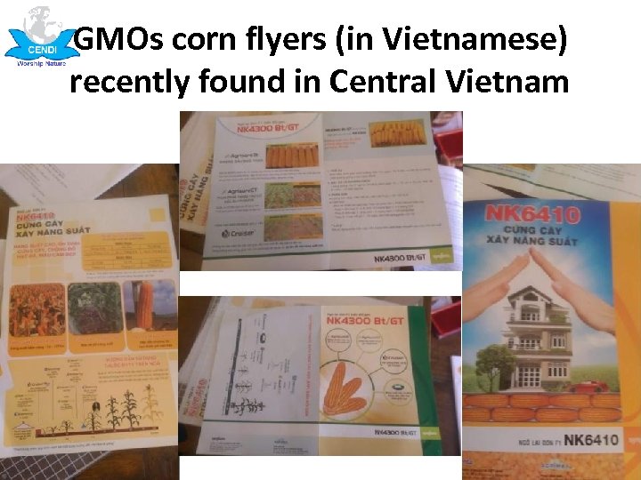 GMOs corn flyers (in Vietnamese) recently found in Central Vietnam 