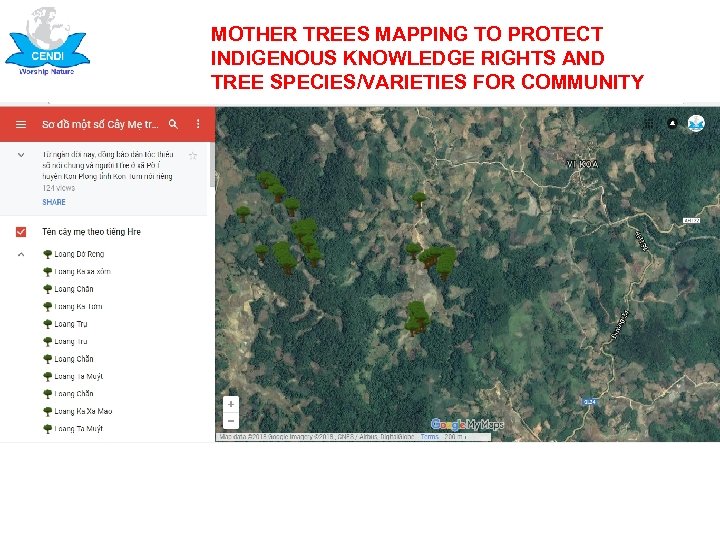 MOTHER TREES MAPPING TO PROTECT INDIGENOUS KNOWLEDGE RIGHTS AND TREE SPECIES/VARIETIES FOR COMMUNITY 