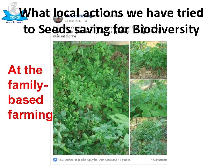 What local actions we have tried to Seeds saving for Biodiversity At the familybased