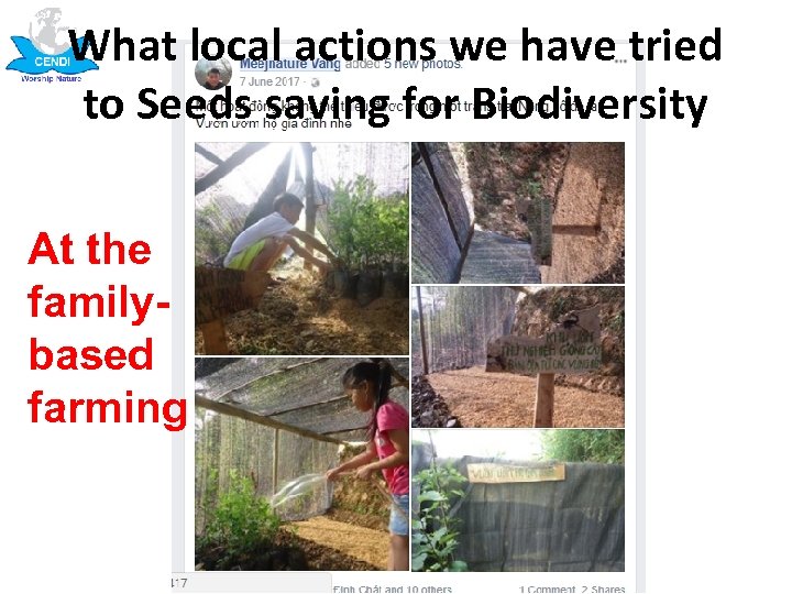 What local actions we have tried to Seeds saving for Biodiversity At the familybased