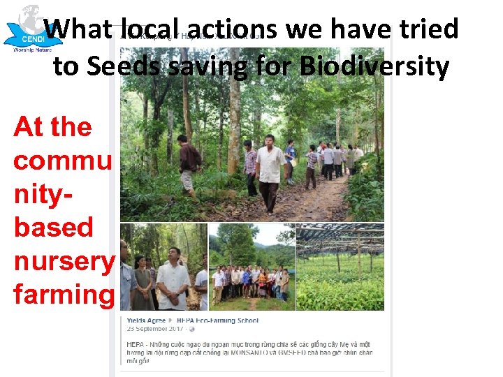 What local actions we have tried to Seeds saving for Biodiversity At the commu