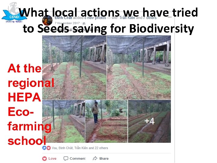 What local actions we have tried to Seeds saving for Biodiversity At the regional