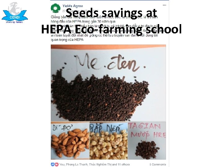 Seeds savings at HEPA Eco-farming school 