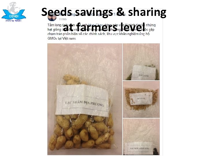 Seeds savings & sharing at farmers level 