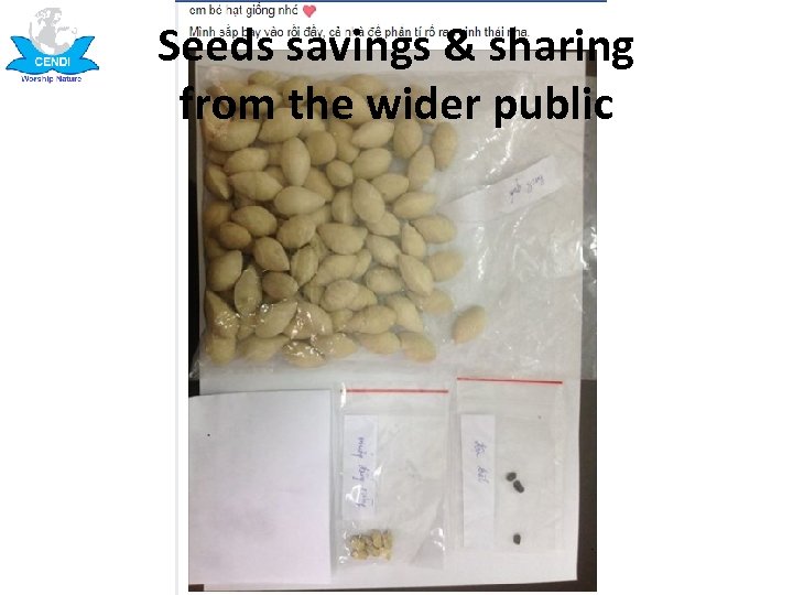 Seeds savings & sharing from the wider public 