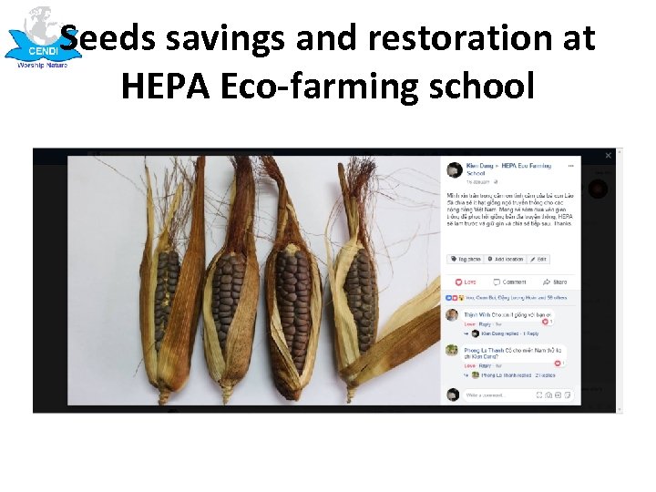 Seeds savings and restoration at HEPA Eco-farming school 