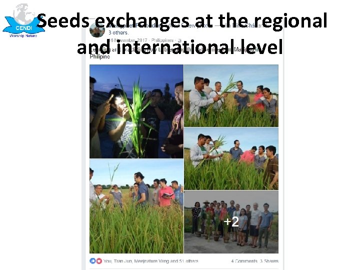 Seeds exchanges at the regional and international level 