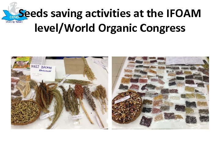 Seeds saving activities at the IFOAM level/World Organic Congress 