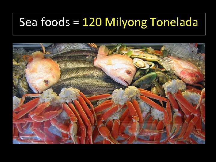 Sea foods = 120 Milyong Tonelada 