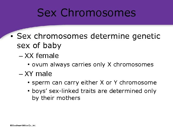 Sex Chromosomes • Sex chromosomes determine genetic sex of baby – XX female •