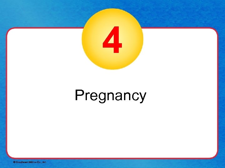 4 Pregnancy © Goodheart-Willcox Co. , Inc. 