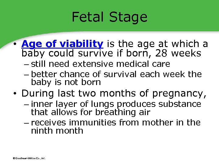 Fetal Stage • Age of viability is the age at which a baby could