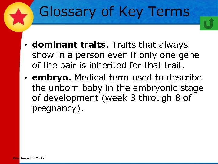 Glossary of Key Terms • dominant traits. Traits that always show in a person