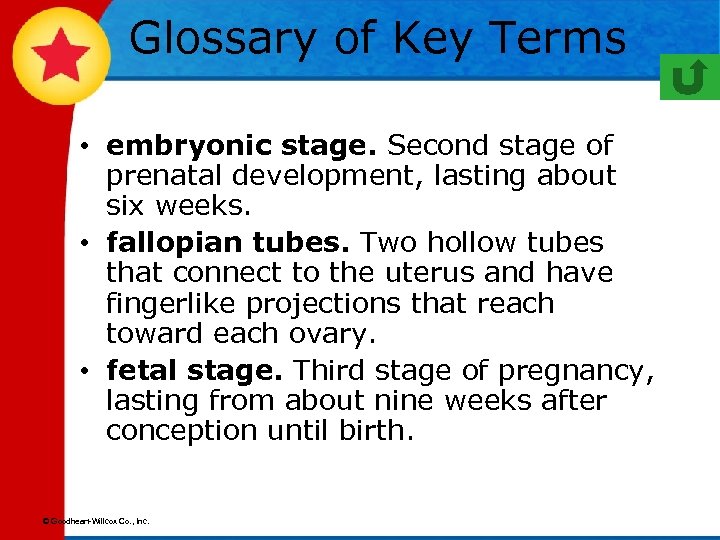 Glossary of Key Terms • embryonic stage. Second stage of prenatal development, lasting about