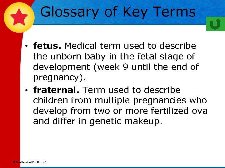 Glossary of Key Terms • fetus. Medical term used to describe the unborn baby