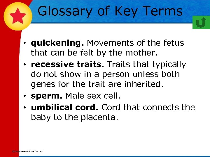 Glossary of Key Terms • quickening. Movements of the fetus that can be felt