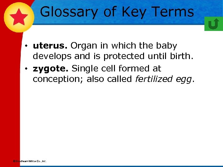 Glossary of Key Terms • uterus. Organ in which the baby develops and is