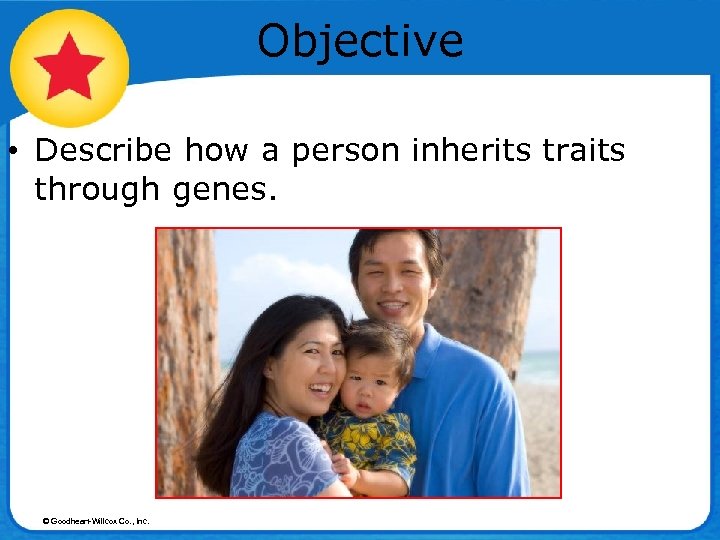 Objective • Describe how a person inherits traits through genes. © Goodheart-Willcox Co. ,