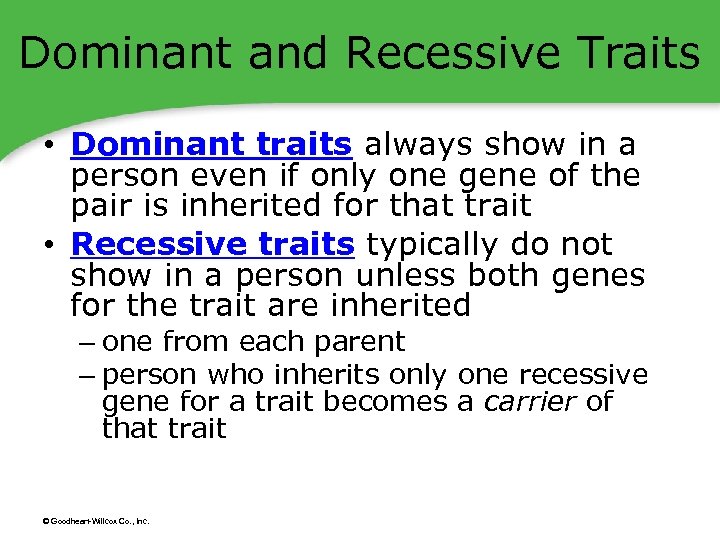 Dominant and Recessive Traits • Dominant traits always show in a person even if