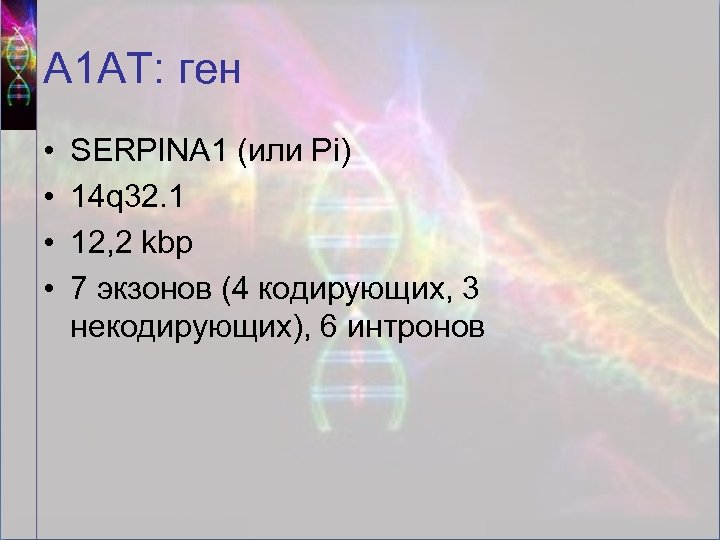 А 1 АТ: ген • • SERPINA 1 (или Pi) 14 q 32. 1