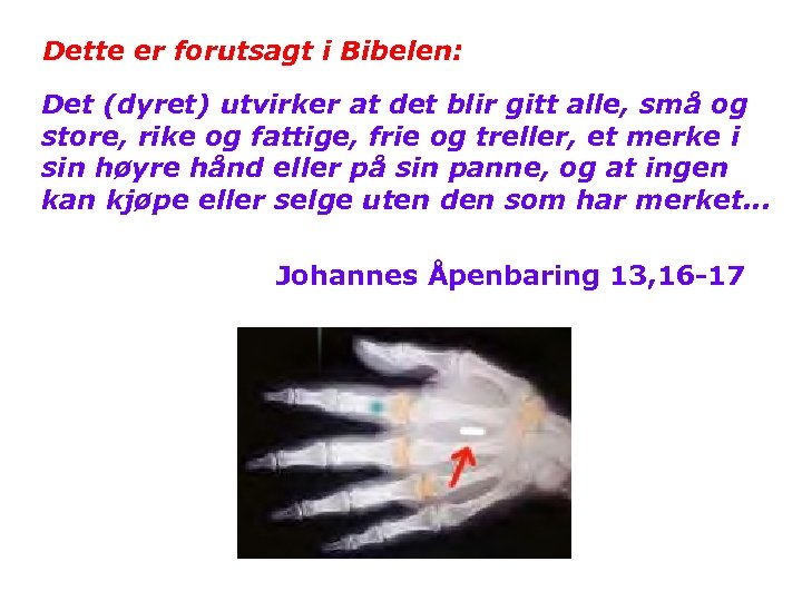 Dette er forutsagt i Bibelen: Det (dyret) utvirker at det blir gitt alle, små