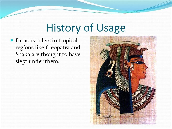 History of Usage Famous rulers in tropical regions like Cleopatra and Shaka are thought