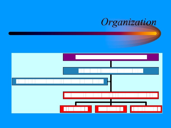 Organization 