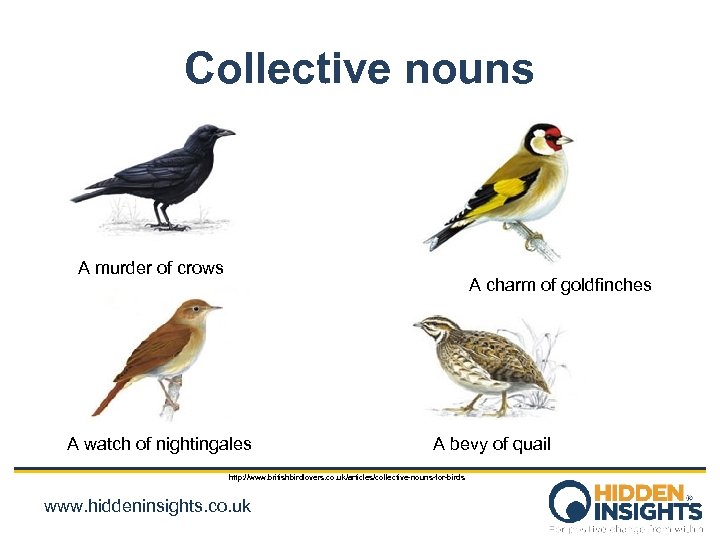 Collective nouns A murder of crows A charm of goldfinches A watch of nightingales
