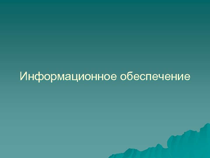 Информационное обеспечение 