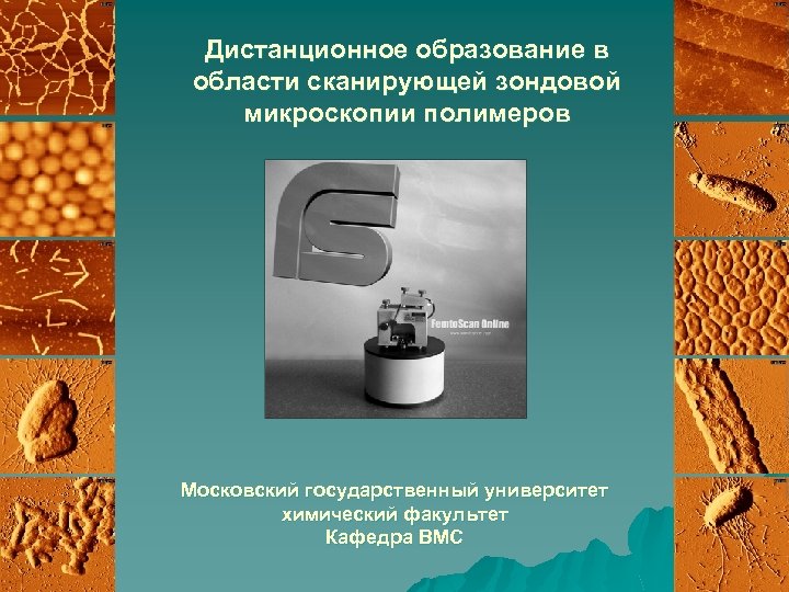 Дистанционное образование в области сканирующей зондовой микроскопии полимеров Московский государственный университет химический факультет Кафедра