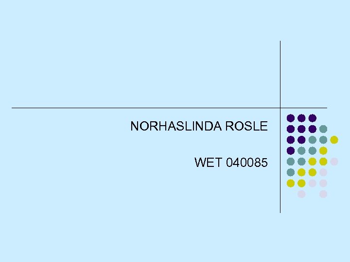 NORHASLINDA ROSLE WET 040085 